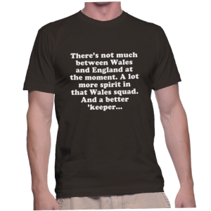 There's not much between Wales and England at the moment. A lot more spirit in that Wales squad. And a better 'keeper...