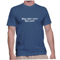 Why did I ever like you?
